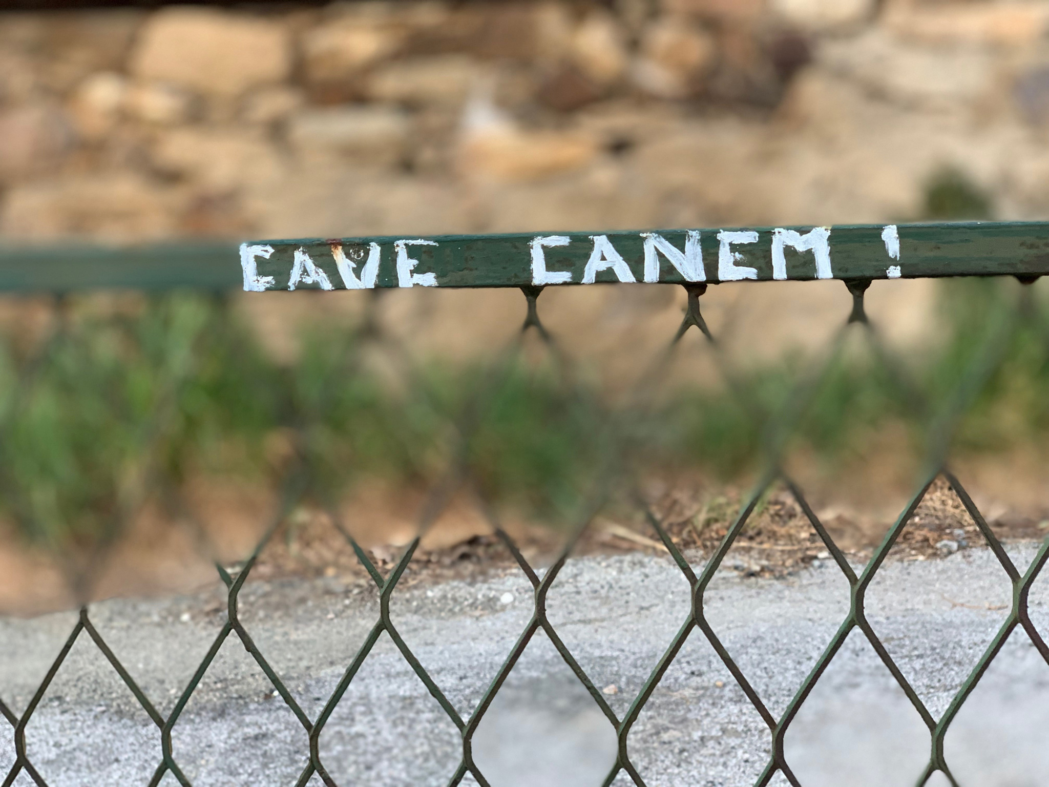 Cave Canem !